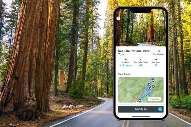 Sequoia National Park Self-Guided Audio Tour - An In-Depth Look at the Sequoia Self-Guided Audio Tour