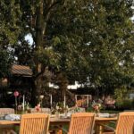 Serene and Romantic Wine Tasting Next to the Vines in Napa Valley - Practical Details and Considerations