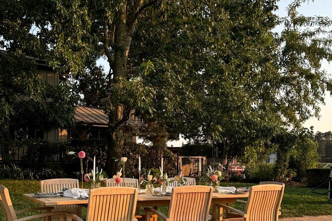 Serene and Romantic Wine Tasting Next to the Vines in Napa Valley - Practical Details and Considerations