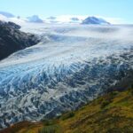 Seward and Kenai Fjords National Park Guided Tour with Lunch - Final Thoughts: Who Is This Tour For?