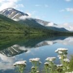 Seward to Anchorage Cruise Transfer and Private Tour - Who Should Consider This Tour?