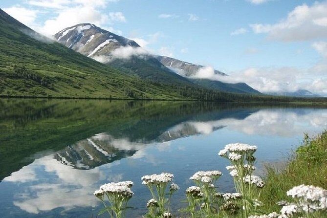 Seward to Anchorage Cruise Transfer and Private Tour - Who Should Consider This Tour?