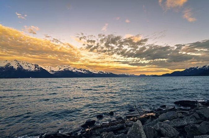 Seward to Anchorage Day Tour with Mulitiple Stops - What You Can Expect from the Tour Experience