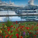 Seward to Anchorage Scenic Transfer Photo Tour - Why This Tour Works for Travelers