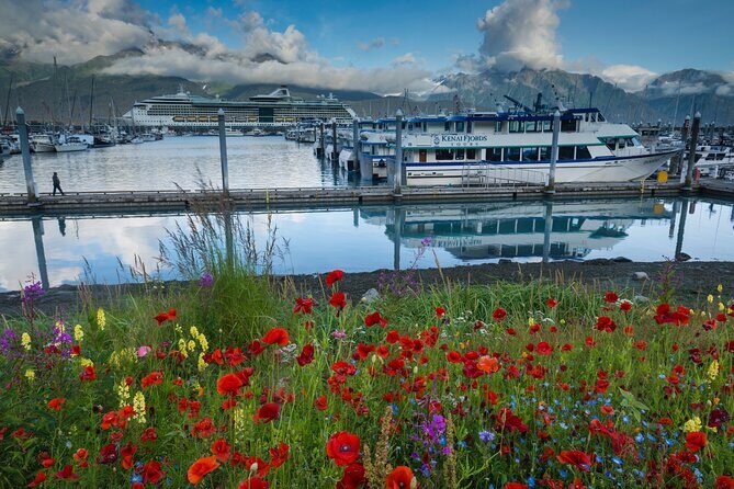 Seward to Anchorage Scenic Transfer Photo Tour - Why This Tour Works for Travelers