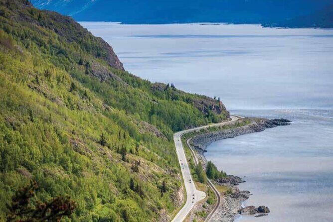 Seward to Anchorage Wildlife Adventure - Considerations and Tips