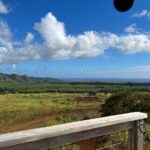 Shaka Zipline: 8 Line Zipline Tour (80 - 260 lbs) - Analyzing the Value for Money