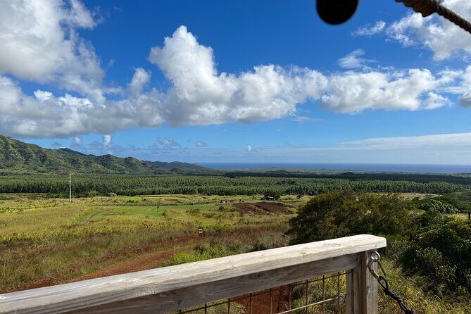 Shaka Zipline: 8 Line Zipline Tour (80 - 260 lbs) - Analyzing the Value for Money