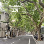 Shanghai: French Concession Stories, History, Culture, Bites - Who Will Love This Tour?