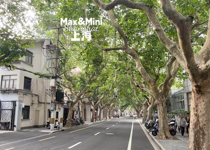 Shanghai: French Concession Stories, History, Culture, Bites - Who Will Love This Tour?