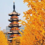 Shanghai: Longhua Temple Buddhist tour with local expert - Why This Experience is Worth Considering