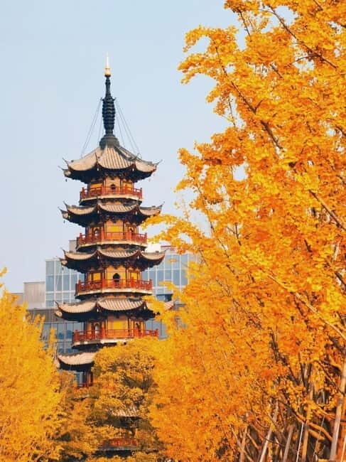 Shanghai: Longhua Temple Buddhist tour with local expert - Why This Experience is Worth Considering