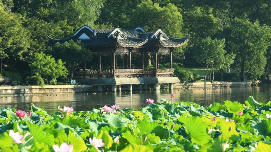 Shanghai: Private Guided Tour to Hangzhou by Bullet Train - A Deep Dive into the Hangzhou Day Trip