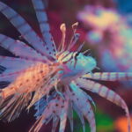 Shanghai: The Marine Wonders at Shanghai Ocean Aquarium - Who Would Love This Experience?