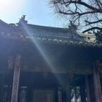 Shanghai: Yu/Yuyuan Garden Entry Ticket--E ticket - Who Will Love This Tour?