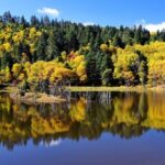 Shangri-La Area Private Day Tour - Pricing and Value