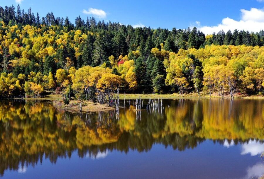 Shangri-La Area Private Day Tour - Pricing and Value