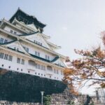 Shared Arrival Transfer: Osaka Itami Airport to Osaka City - Final Thoughts: Is It Worth It?