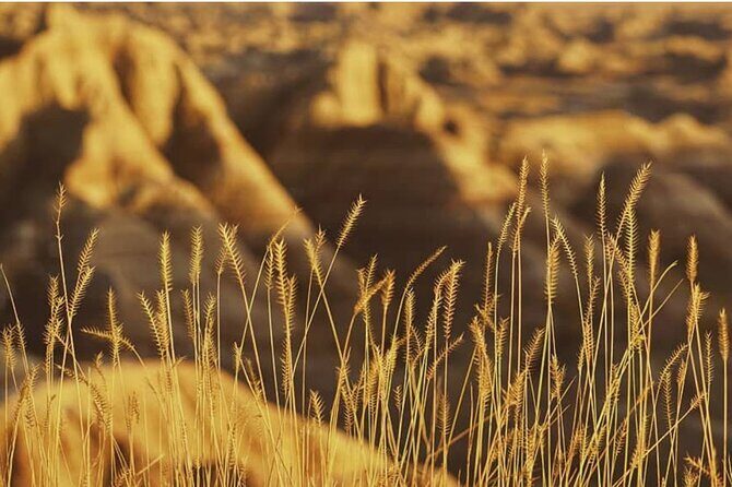 Shared Badlands and Wall Drug Store Experience - Who Should Consider This Tour?