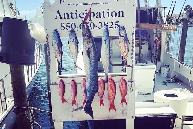 Shared Deep Sea Fishing Trip from Destin - Who Should Book This Trip?