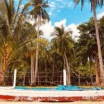 Shared Honda Bay Island Hopping Tour - The Sum Up: Who Should Consider This Tour?