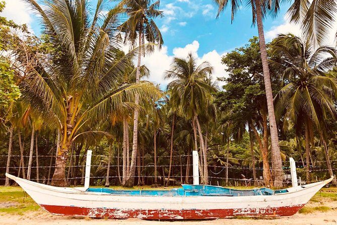 Shared Honda Bay Island Hopping Tour - The Sum Up: Who Should Consider This Tour?