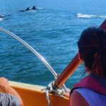 Shared Sailing Adventure Explore Puerto Vallarta by Sea - Pricing and Value