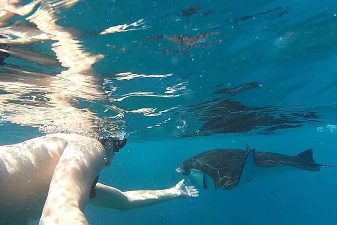 Shared Snorkeling 3-4 spot manta bay in Nusa Penida - Final Thoughts: Why Choose This Tour?