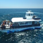 Shared Two-Hour Whale Watching Tour from Oceanside - What Makes This Tour Stand Out?