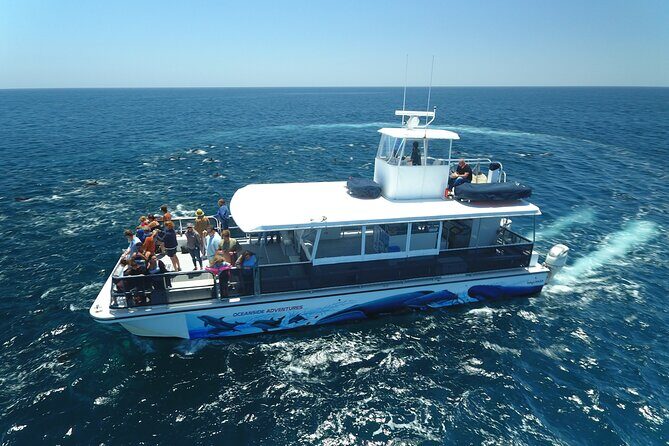 Shared Two-Hour Whale Watching Tour from Oceanside - What Makes This Tour Stand Out?
