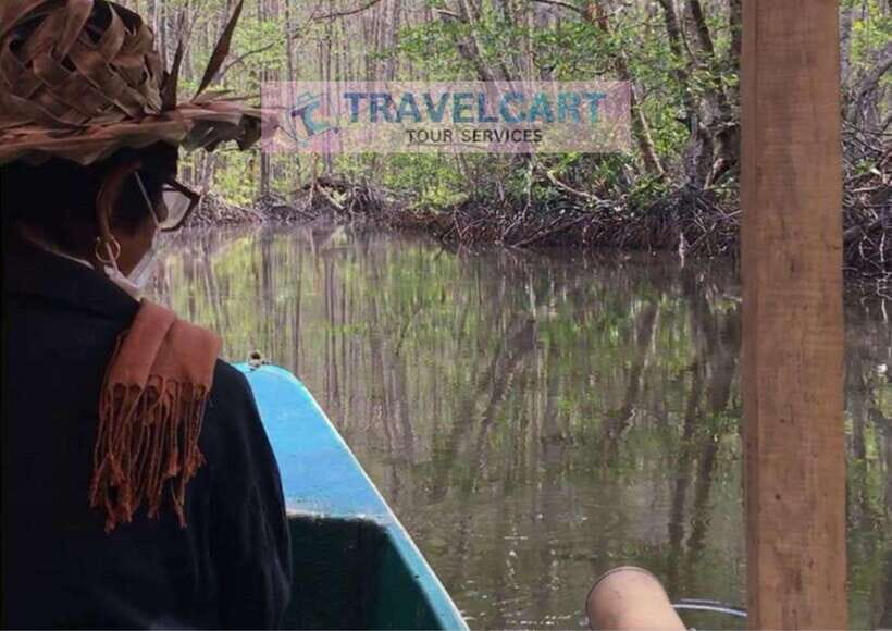 Shared Underground River with Mangrove Paddle Boat & LUNCH - Lunch at a Local Restaurant