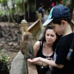 Sharing Half Day Mangrove Boat Tour With Lunch in Langkawi - Exploring Caves and Limestone Cliffs