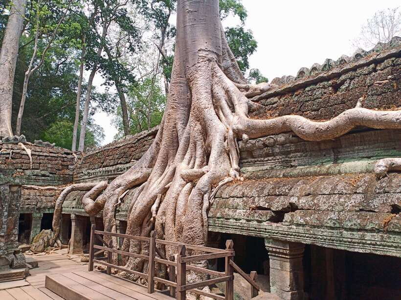 Sharing Trip to Angkor Temple with sunset - The Authenticity and Value of the Tour