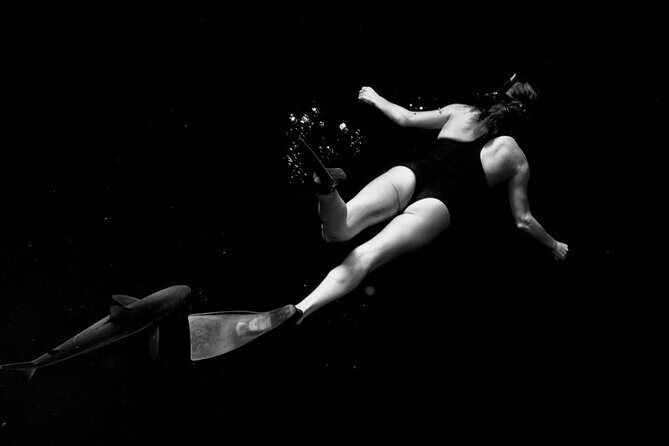 Shark-Dive Tour on Oahu's North Shore - Authenticity and Safety: Why This Tour Works