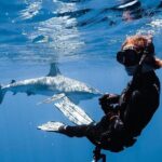 Shark Diving and Snorkeling in Oahu Hawaii - Why This Tour Works Well for Different Travelers