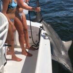 Shark Fishing Tampa Bay - What’s Included and What’s Not