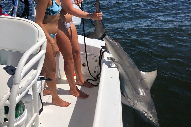 Shark Fishing Tampa Bay - What’s Included and What’s Not