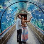 Shark Reef at Mandalay Bay Hotel and Casino - Authentic Traveler Perspectives