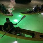 Sharkey's Glass Bottom Fish Feeding LED Night Tour in Clearwater - Practical Details and Tips