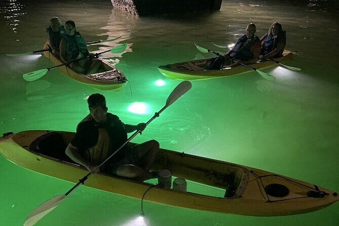 Sharkey's Glass Bottom Fish Feeding LED Night Tour in Clearwater - Practical Details and Tips