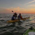 Sharkeys Glass Bottom Fish Feeding LED Night Tour Key West - Comparing Value and Similar Experiences