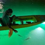 Sharkeys Glass Bottom Fish Feeding LED Night Tour St. Pete Beach - The Value and Why You Should Consider It