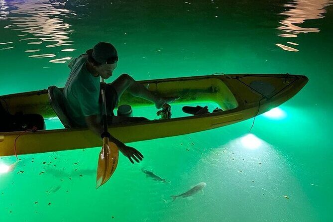 Sharkeys Glass Bottom Fish Feeding LED Night Tour St. Pete Beach - The Value and Why You Should Consider It