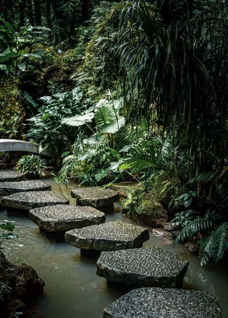 Shenzhen: East Coast Nature, Ports & Ancient Town Day Tour - FAQ