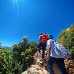 Shenzhen: Guided Hiking Tour with Multiple Routes - The Sum Up