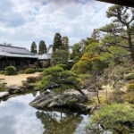 Shibamata: Step Back into Old Japan! - A Deep Dive Into Shibamata: What to Expect