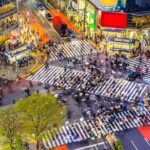Shibuya All You Can Eat & Drink Private Tour - Why This Tour Offers Real Value