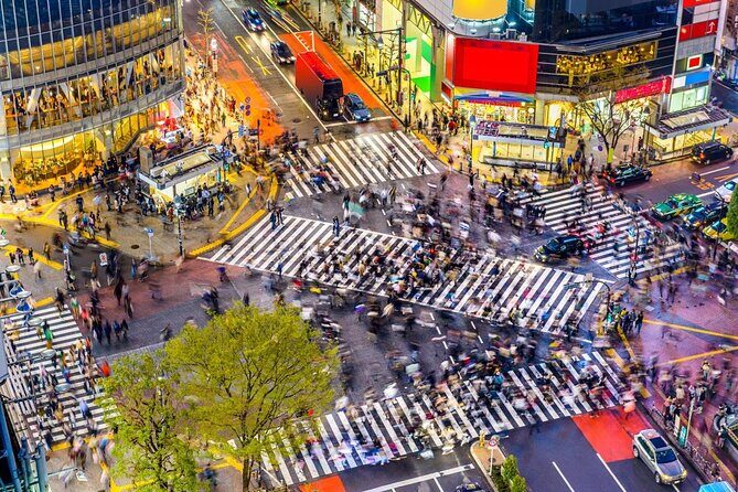 Shibuya All You Can Eat & Drink Private Tour - Why This Tour Offers Real Value