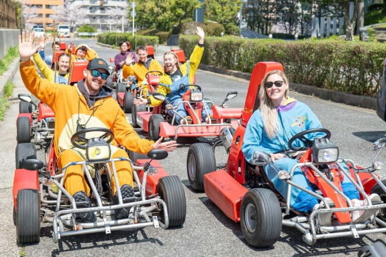 Shibuya Go Karting Tour with Funny Costume - Who Will Love This Tour?