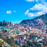 Shimla: Experience the Best of Shimla with a Local Guide - Authentic Experiences and Customer Feedback